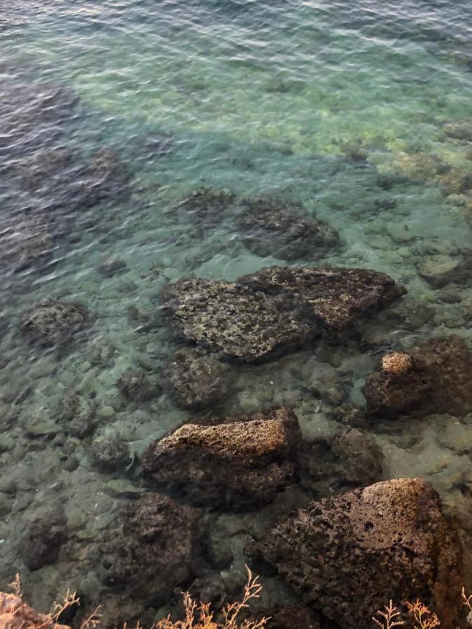 Casa Vacanze Antiche Mura E Poi โมโนโปลี ภายนอก รูปภาพ