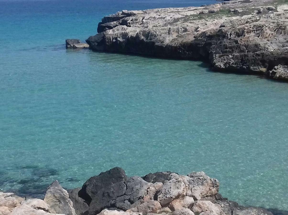 Casa Vacanze Antiche Mura E Poi โมโนโปลี ภายนอก รูปภาพ